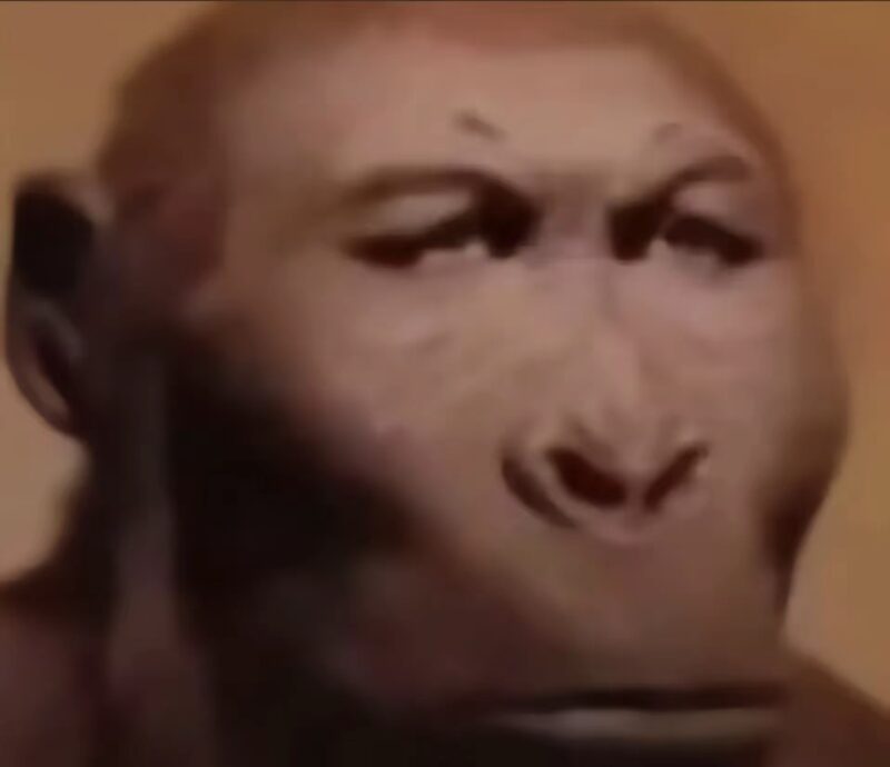 资源分享-冉冉博客