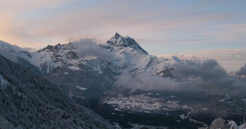 前端状态管理优化：Nuxt.js项目性能提升-冉冉博客