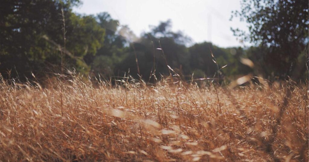 深入Nuxt.js：懒加载原理与实践-冉冉博客