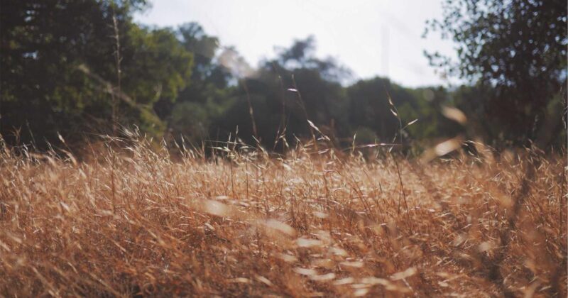 深入Nuxt.js：懒加载原理与实践-冉冉博客