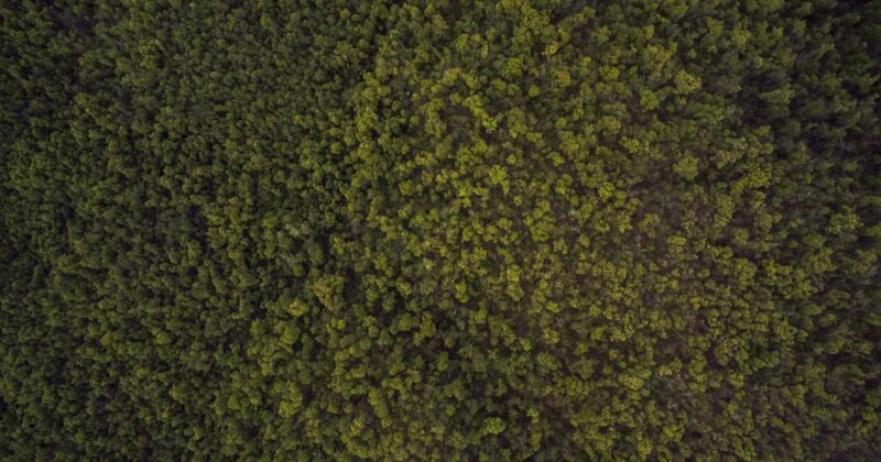 Python 生成器入门到进阶：完整教程-冉冉博客