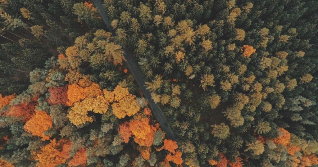 Linux 防火墙技巧：提升数据库效率-冉冉博客