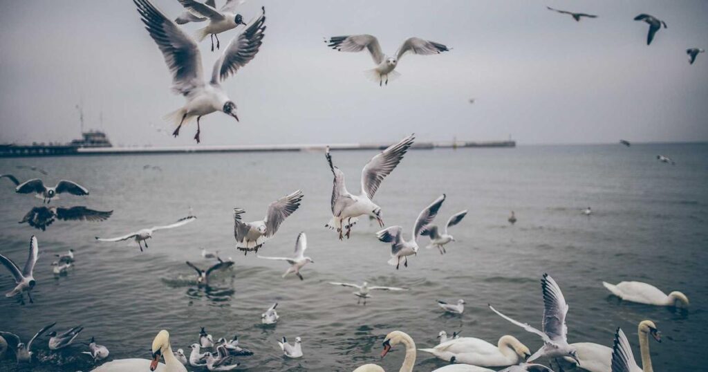 服务器定时任务管理：Linux 缓存服务优化-冉冉博客