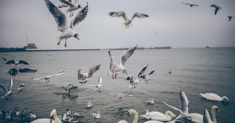 服务器定时任务管理：Linux 缓存服务优化-冉冉博客