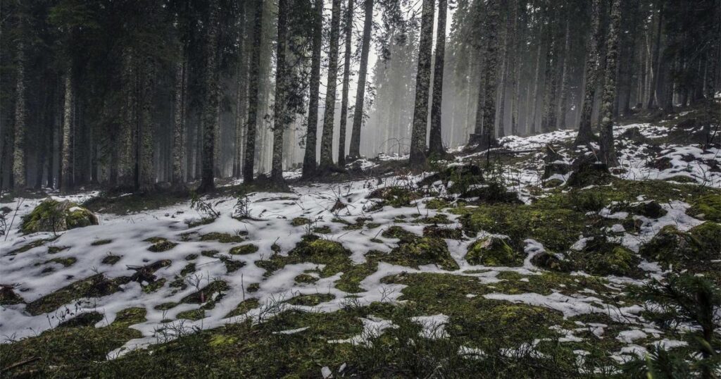 深入理解 PHP 联合类型：Web应用场景优化-冉冉博客