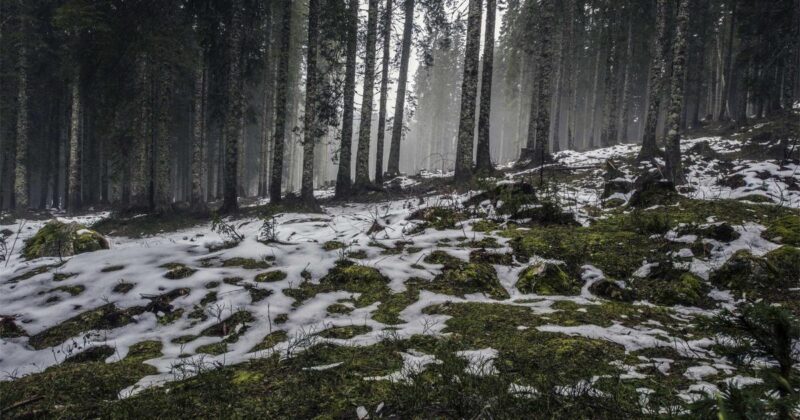 深入理解 PHP 联合类型：Web应用场景优化-冉冉博客