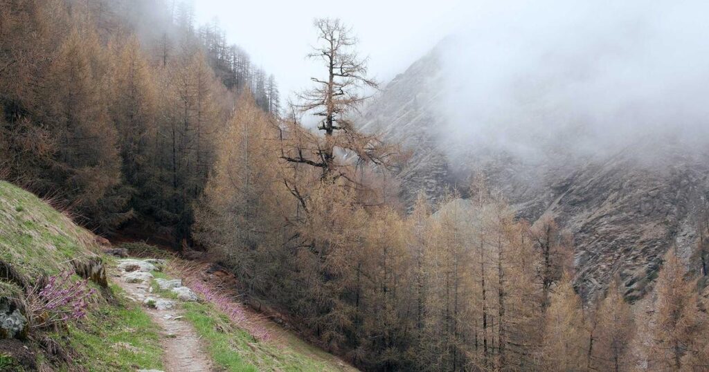 Python 数据类实战：机器学习自动化方案-冉冉博客